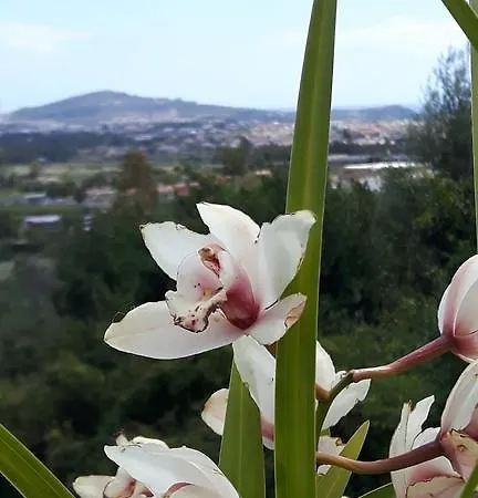 Il Panoramico Tortolì